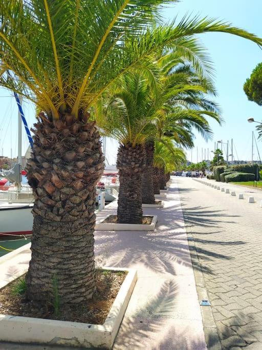Joli Appartement Avec Grande Et Belle Terrasse, Au Pied De La Plage Du Grazel! Gruissan Zewnętrze zdjęcie